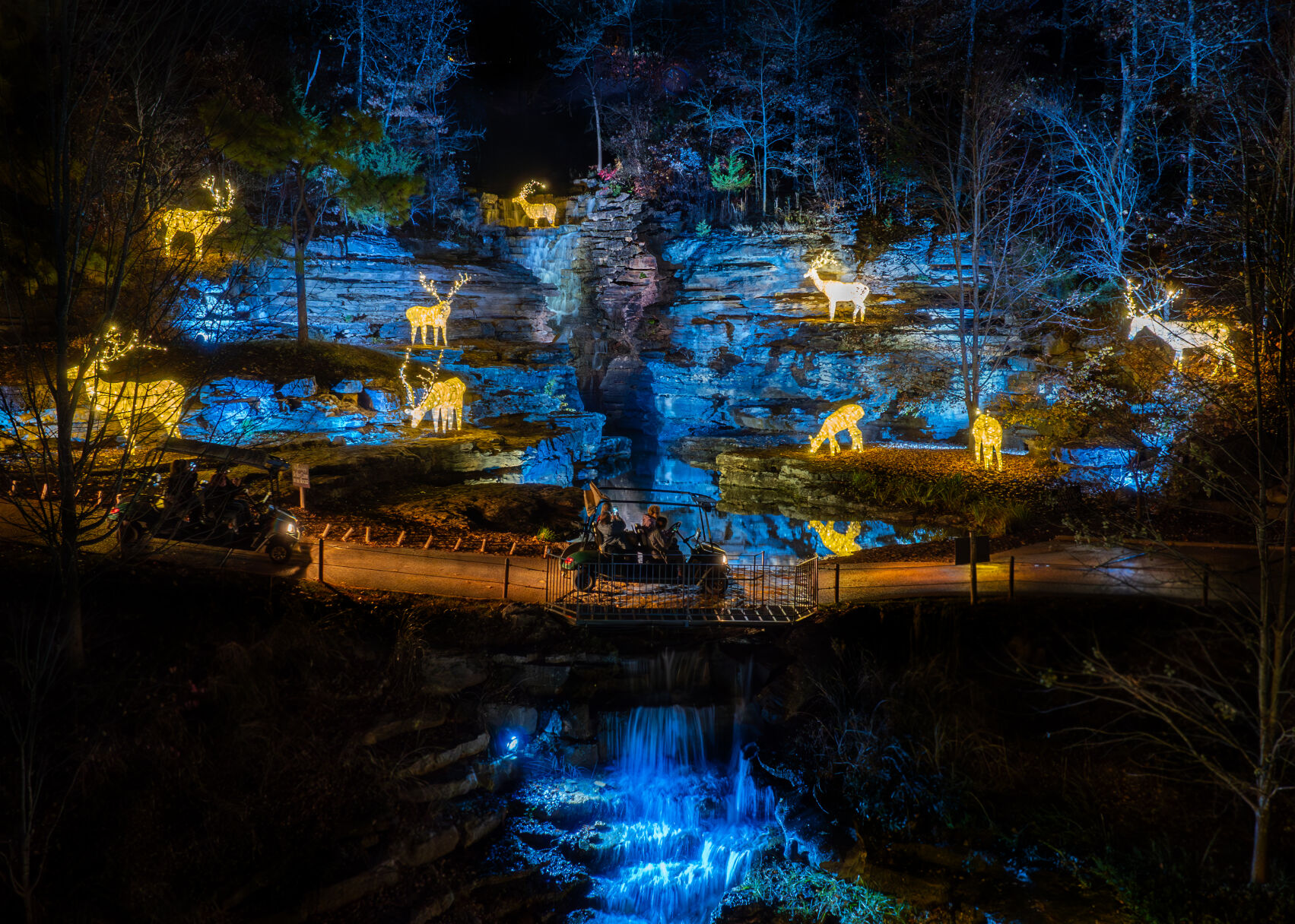 Nature at Night